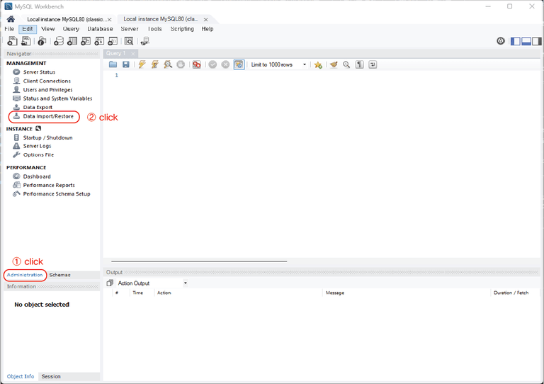 Data Import/Restore